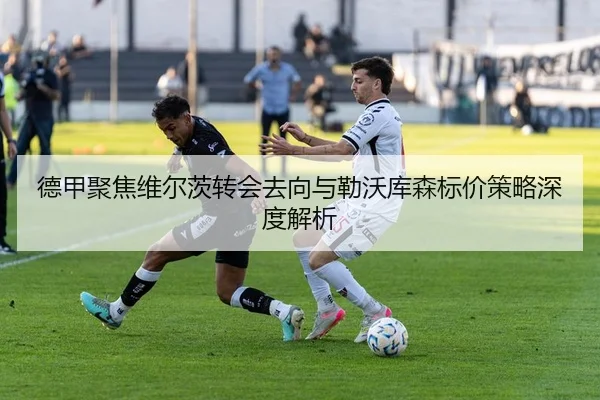 德甲聚焦维尔茨转会去向与勒沃库森标价策略深度解析（kaiyun）